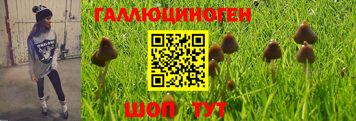 Уссурийск  Псилоцибиновые грибы GOLDEN TEACHER  Вход с VPN 